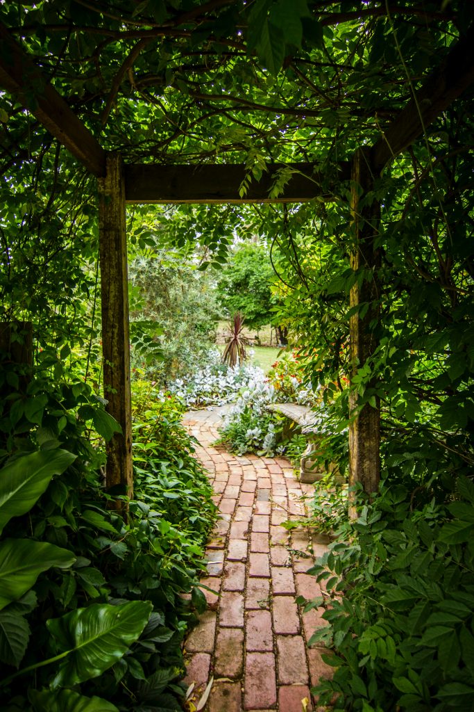 Norens Japonais : Un Élément de Décoration Unique pour Votre Jardin Zen